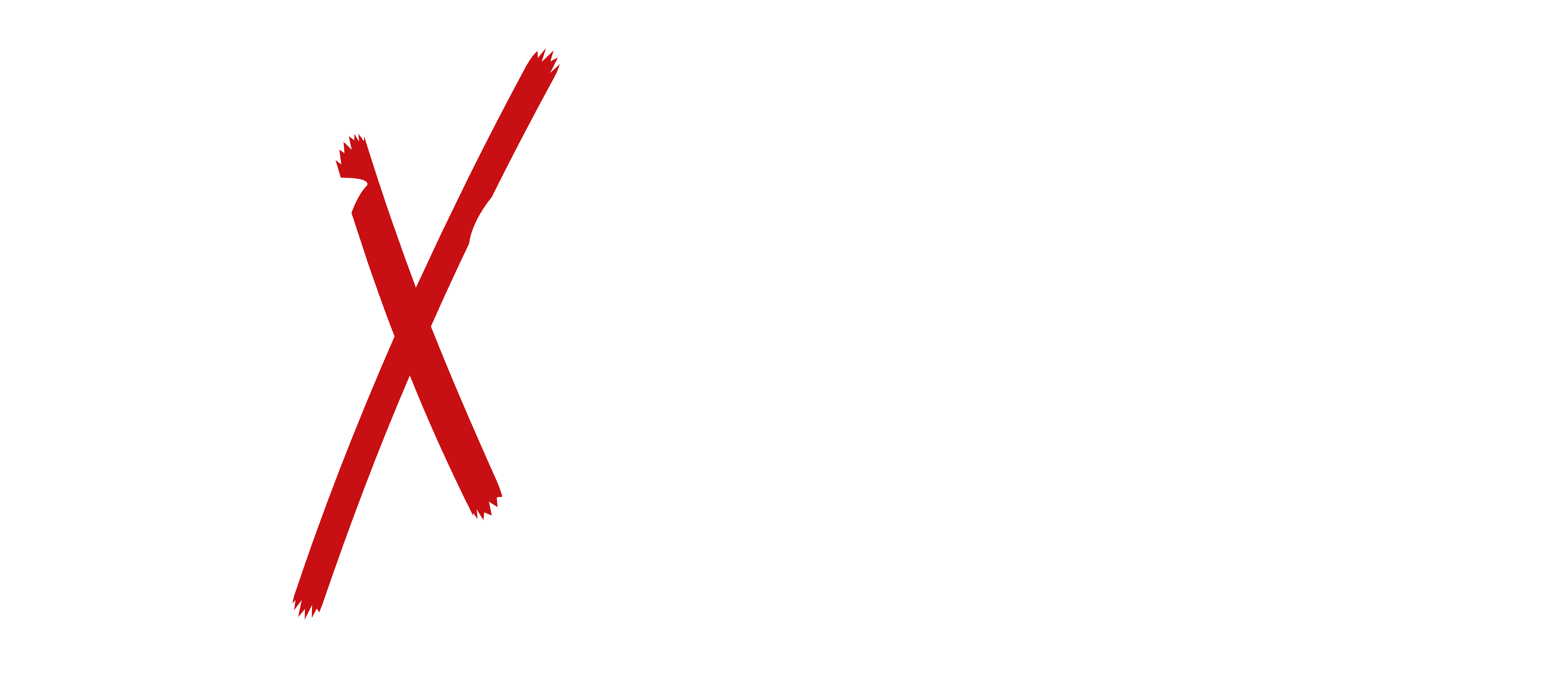 VXSCERA Logo